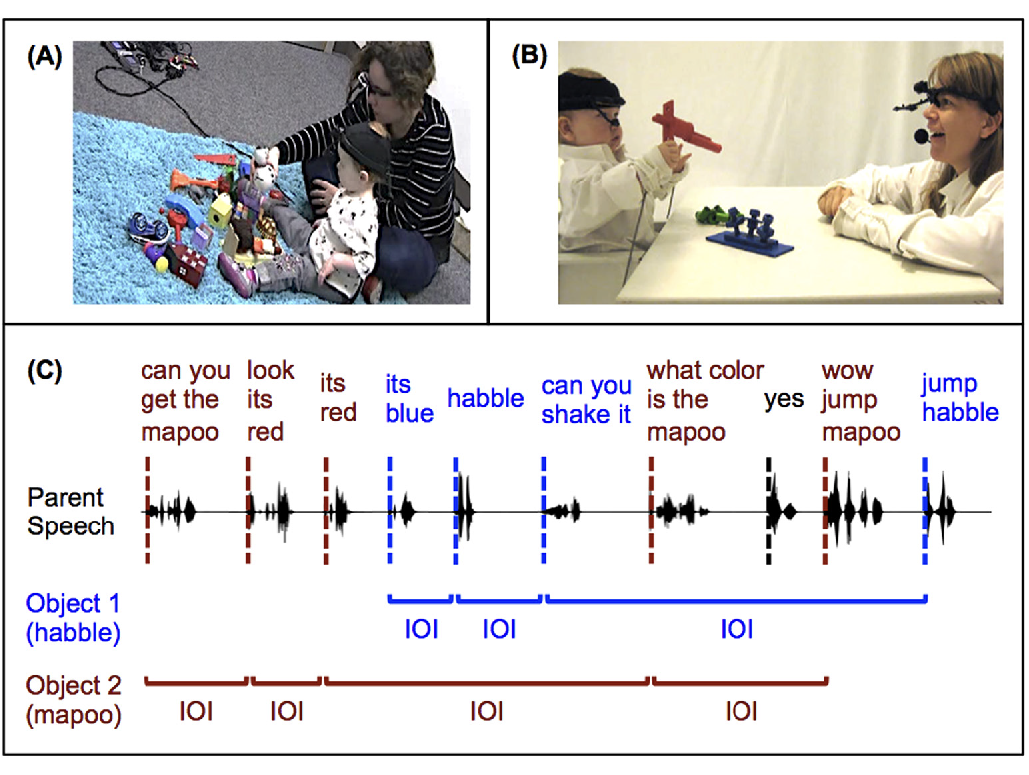 Research Highlight